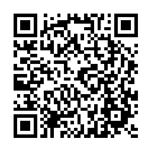 许智宏的到来让杨辰彻底不明白林若溪葫芦里卖的什么要二维码生成