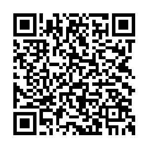 许浩桑和许浩隆的心里还不相信许紫烟会是王者二维码生成