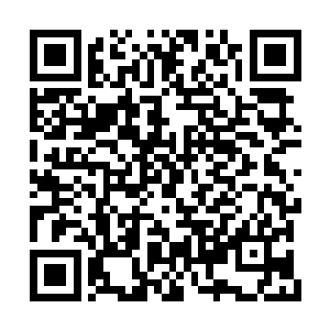 许浩然知道他已经失去了对族长之位的争斗之心二维码生成