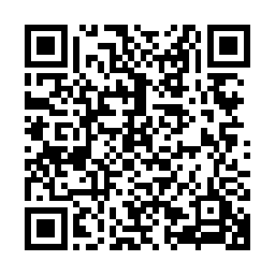 许琳琳倒是很懂眼色的在后面直接打断了那矮胖子即将出口的话二维码生成