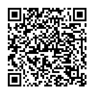 许琴扬以摧枯拉朽之势在两年的时间里灭掉了四十八个三流家族族地二维码生成