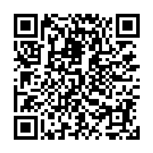 许琴扬带着从各个家族中抽调出来的十万九天玄仙期的修士二维码生成