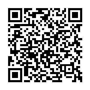 许琴扬的身体和那只混沌兽比起来实在是太小了二维码生成