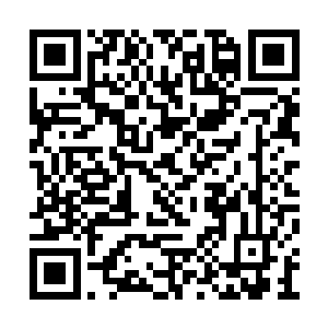 许立南小舅子就是那千万资产的建筑公司的老总二维码生成