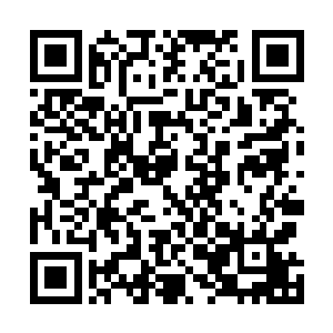 许紫烟一边望着远处的战场一边将自己的忧虑说给了原听二维码生成