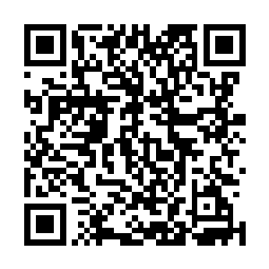 许紫烟一颗接着一颗地在身前虚浮排列的金色圆球越来越多二维码生成