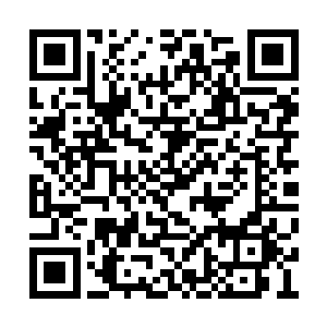 许紫烟不会自大地认为自己就会在那里畅通无阻二维码生成