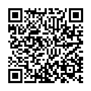 许紫烟不确定这块补天石是因为太过巨大而生成了这种功能二维码生成