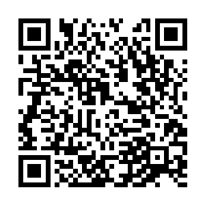 许紫烟乘坐小白飞快地向着古荒山脉内的山谷飞去二维码生成