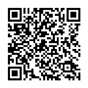 许紫烟也只好和路广天向着昨天去过的那座散仙盟大楼走去二维码生成