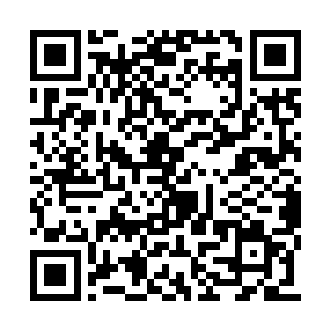 许紫烟也将浩劫即将降临之事说给了五族族长听二维码生成