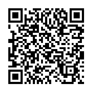 许紫烟也感觉到了这里的灵气根本不足以使自己突破二维码生成