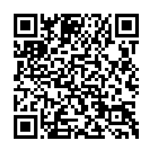 许紫烟也收到了上元盟和九大宗门送给她的仙晶二维码生成