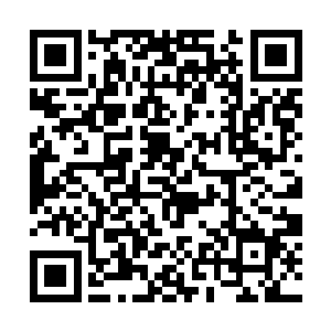 许紫烟也是先清点了一下在龙家藏宝库内得到的资源二维码生成