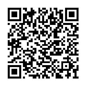 许紫烟也觉得这里应该是火属性修士的修炼圣地二维码生成