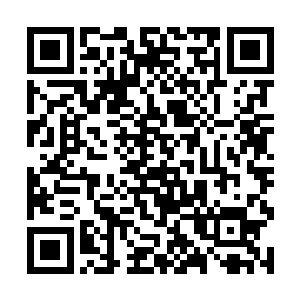 许紫烟也认为绿儿应该保护着太虚宗并没有受到伤害二维码生成