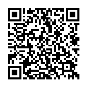 许紫烟伸出一只手指又爱怜的抚摸了几下火灵儿二维码生成