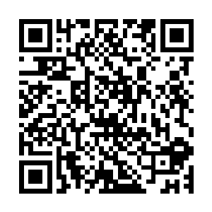 许紫烟伸出食指凝聚了仙元力开始在空中不停地列出各种草药二维码生成