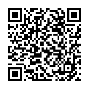 许紫烟便在每个人的周围用晶脉布设了一个聚元阵二维码生成