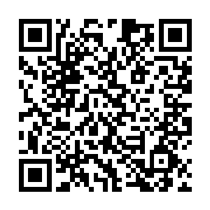 许紫烟便将自己怎么赢汇晶商行的事情简略地说了一遍二维码生成