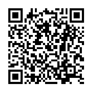 许紫烟便开始向着一个个仙君仙兽守护的草药动手了二维码生成