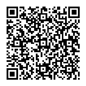 许紫烟便看到在兰百灵的印堂内那个已经生成身子的蜘蛛一下子变得躁动不安了起来二维码生成