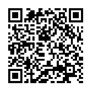 许紫烟便知道自己二人此时正处于一个充满浓郁死气的地方二维码生成