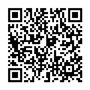 许紫烟便站在外面观看着苍澜宗几个弟子的比试二维码生成