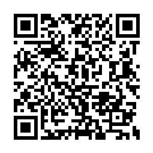 许紫烟先是小心翼翼地将那根建木根茎种植下去二维码生成