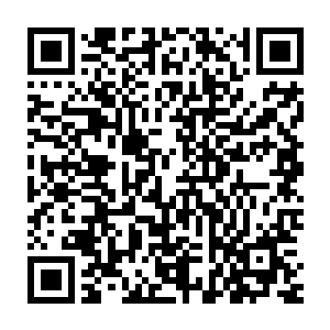 许紫烟凝聚着一柄柄火矛向着螳螂旋风中心的四翅或者六翅螳螂轰击着二维码生成