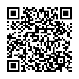许紫烟则是恭恭敬敬地像是那个茶杯根本就不是她丢出去的一样二维码生成