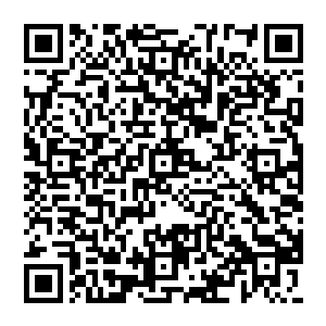 许紫烟却将那没有受伤的九个人尊初期巅峰和六个人尊初期大修士召集在云宝宝内的一个房间内二维码生成