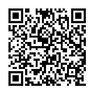 许紫烟又交换了大量的其它珍贵材料炼制的仙器二维码生成