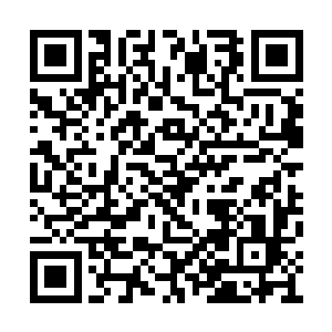 许紫烟又将目光望向了剩下的一些地尊期修士道二维码生成