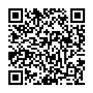 许紫烟又按照记忆将箱子里面的衣服分发给众人二维码生成