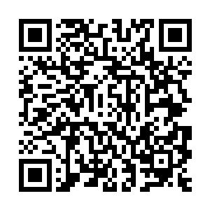 许紫烟又转头朝着那十个分神中期和十个化神后期的小古藤说道二维码生成