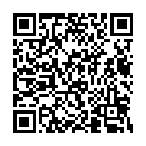 许紫烟双手中的火精石不断地从手中掉到了地上二维码生成