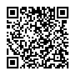 许紫烟只是目光大略地扫过工作间内的一些工具设备二维码生成