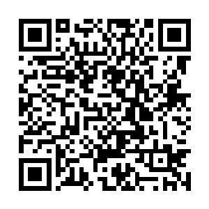 许紫烟只要用纯正的药剂去逼迫那海外修士的灵力二维码生成