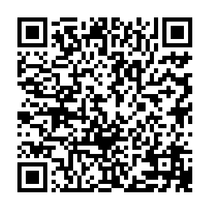 许紫烟可不希望自己好不容易培养出来的一个九品后期巅峰仙阵师出了意外二维码生成