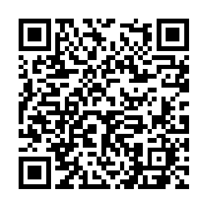 许紫烟周围的那些布设成聚灵阵的灵石不断地响起二维码生成