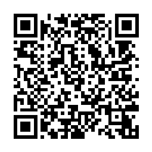 许紫烟和欧阳香的修为他们两个一扫便看得清清楚楚二维码生成