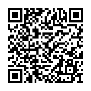 许紫烟和混乱的身形在大殿之内急速地绕殿而飞二维码生成