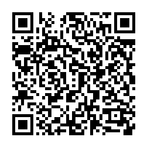 许紫烟和燕山魂却是坐在一旁神识交流着他们两个对那个珠子的推衍二维码生成