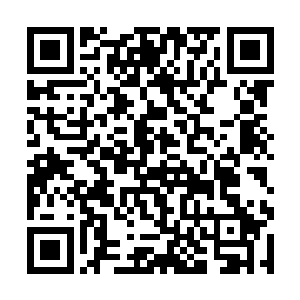 许紫烟和燕山魂还是第一次看到混沌之气组成的符箓二维码生成