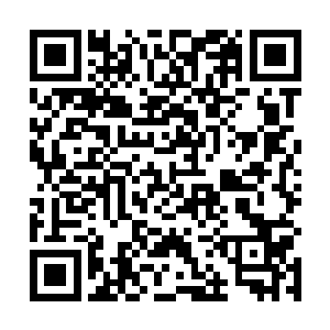 许紫烟和许家的这些精英弟子的脸阴沉得像要滴出水来二维码生成
