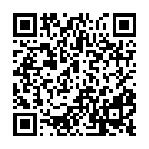 许紫烟和许琴扬带着小白和许响从传送阵走了出来二维码生成