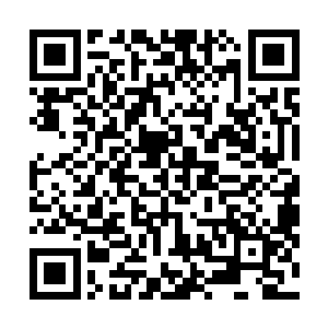 许紫烟回头看了一眼依旧昏倒在地上的那个赤阳宗的弟子二维码生成