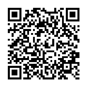 许紫烟在河伯仙府搜刮了大量的生灵进入了紫烟空间二维码生成