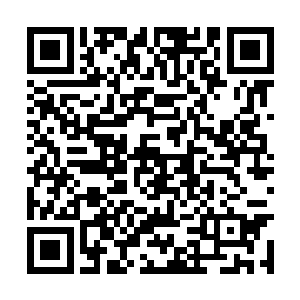 许紫烟在混乱的识海内望着外面的落阳凌绝地气势二维码生成
